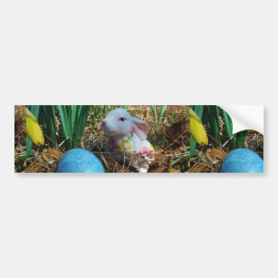 Daffodils and  Blue Easter egg Bumper Sticker