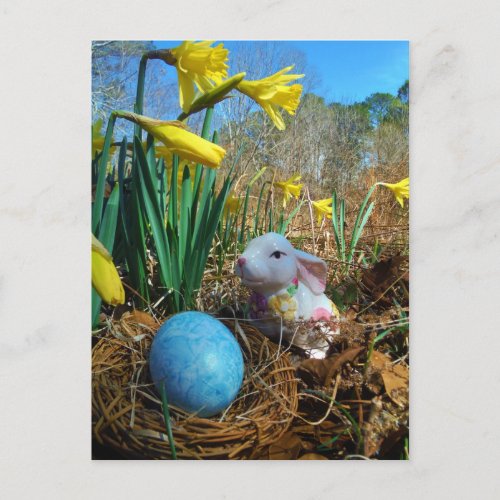 Daffodils and  Blue Easter egg Holiday Postcard