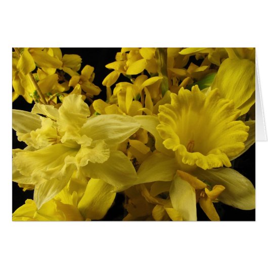 Daffodils and Forsythia Cards (Front Horizontal)