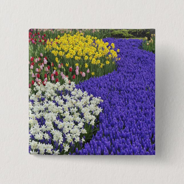 Daffodils and Grape Hyacinth, Keukenhof 2 Pinback Button (Front)