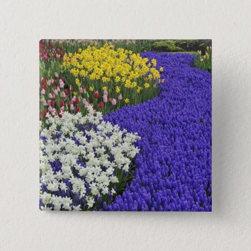 Daffodils and Grape Hyacinth Keukenhof 2 Pinback Button