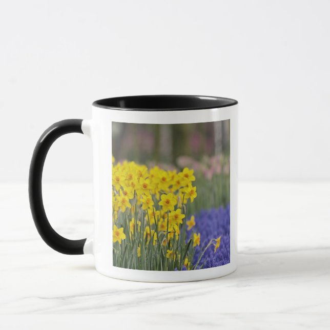 Daffodils and Grape Hyacinth, Keukenhof Mug (Left)