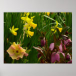 Daffodils and Lenten Roses Colorful Floral Poster