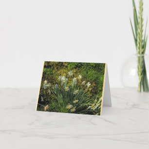 Daffodils at Stenton House Folded Note Card