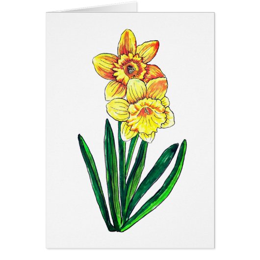 Daffodils Blank Cards (Front)