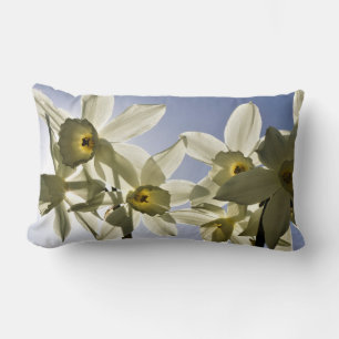 Daffodils blooming with a spring blue sky lumbar pillow