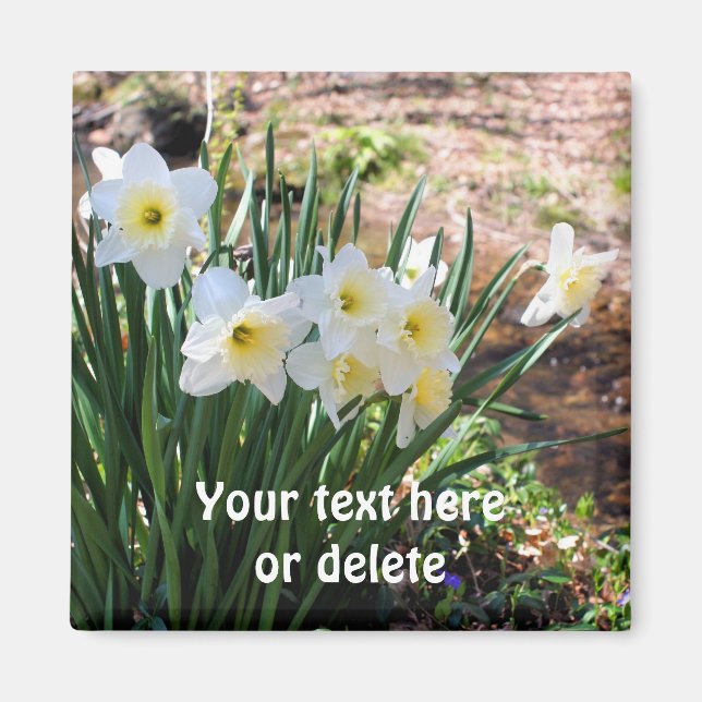 Daffodils By Brook Flower Personalized Magnet (Front)