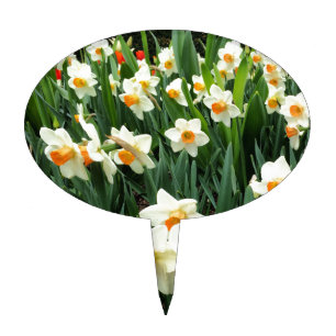 Daffodils Cake Topper