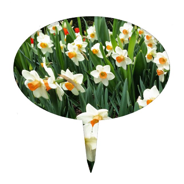 Daffodils Cake Topper (Front)