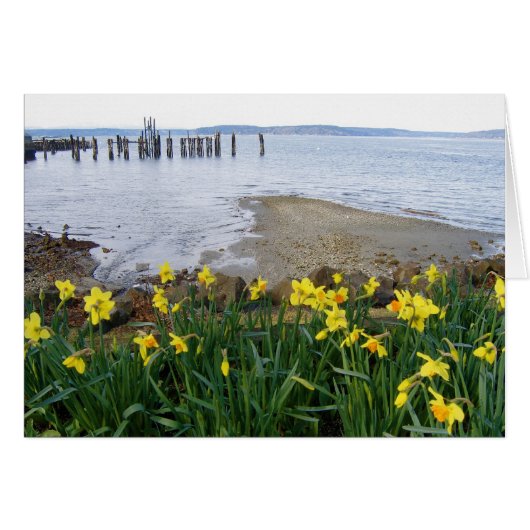 Daffodils Card (Front Horizontal)