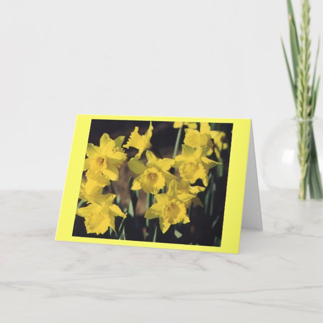 Daffodils Card (Front)
