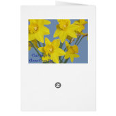 Daffodils Cards (Back)