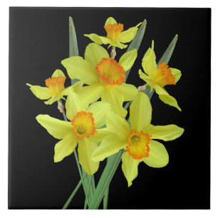 Daffodils Ceramic Tile