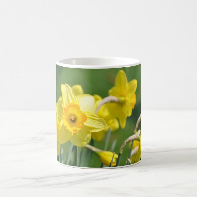 Daffodils Coffee Mug (Center)