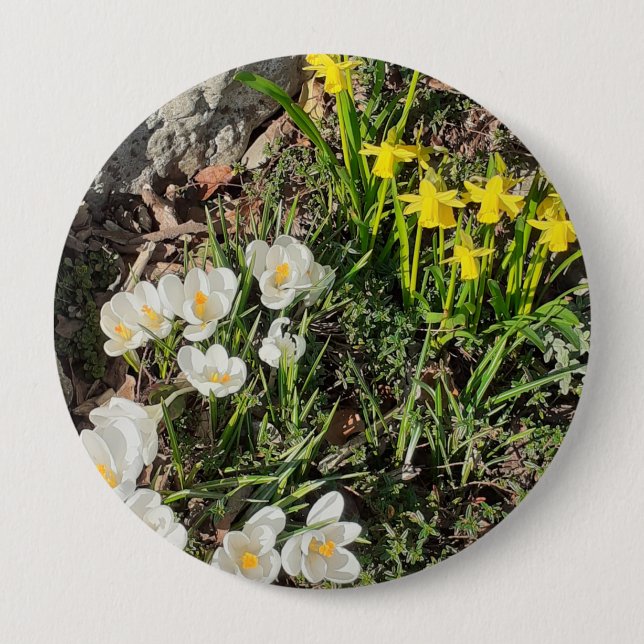 Daffodils & Crocus Badge Button (Front)