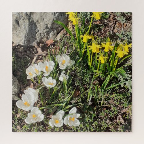 Daffodils  Crocus Jigsaw Puzzle