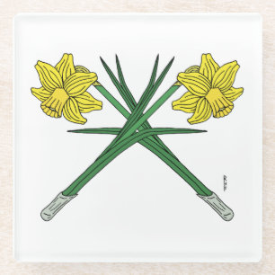 Daffodils Crossed Glass Coaster