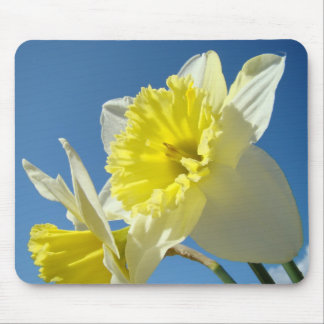 DAFFODILS Daffodil Flowers MOUSEPAD MOUSE PAD