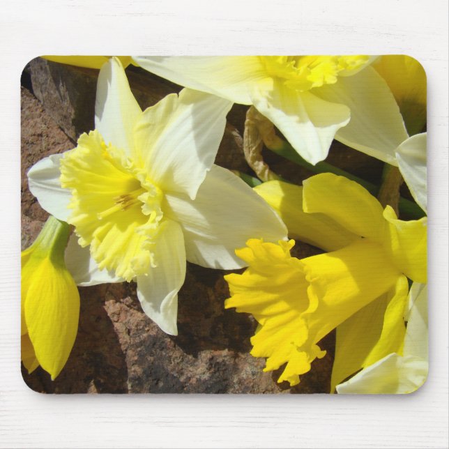 DAFFODILS Daffodil Flowers MOUSEPAD MOUSE PAD (Front)