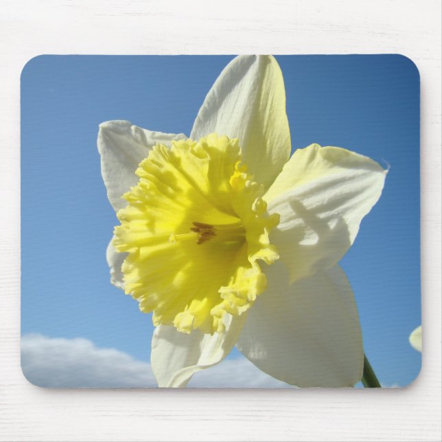 DAFFODILS Daffodil Flowers MOUSEPAD MOUSE PAD (Front)