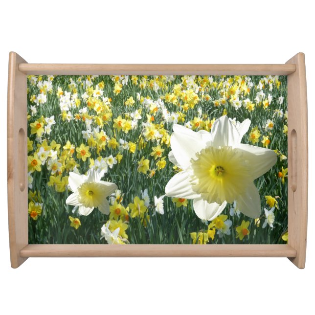 Daffodils Field White Serving Tray (Front)