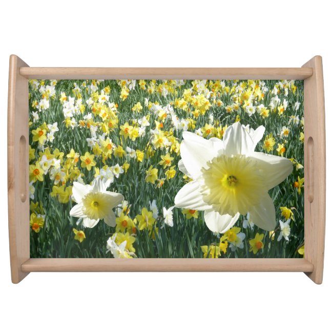 Daffodils Field White Serving Tray