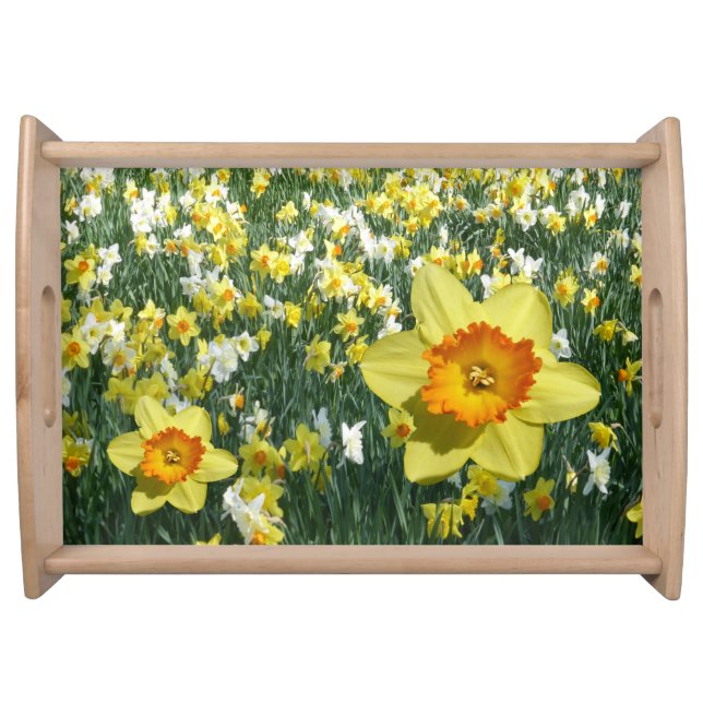 Daffodils Field Yellow Orange Serving Tray (Front)