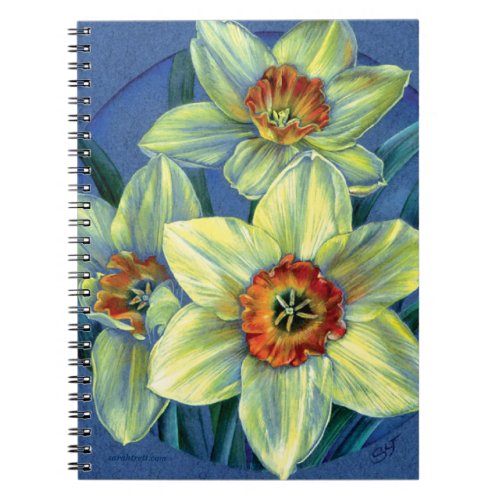 Daffodils fine art notebook