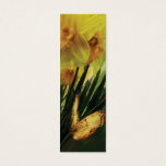 Daffodils - First Flower Of Spring Bookmark