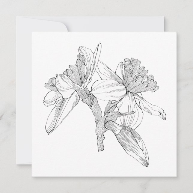 Daffodils flowers line bouquet. note card (Front)