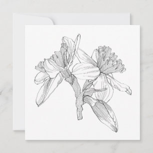 Daffodils flowers line bouquet. note card
