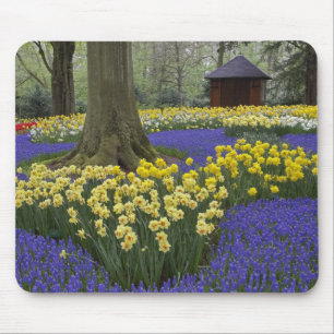 Daffodils, grape hyacinth, and tulip garden, mouse pad
