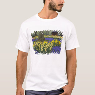 Daffodils, grape hyacinth, and tulip garden, T-Shirt