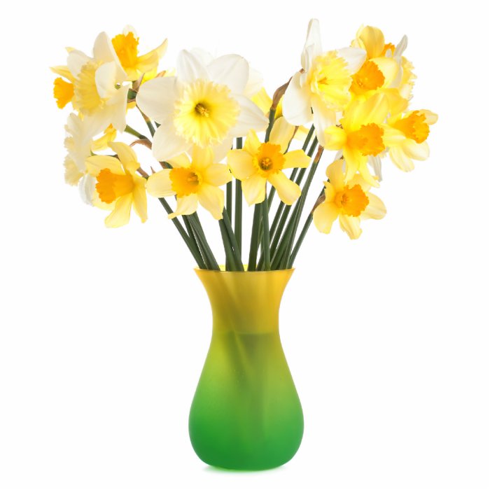 Daffodils in a Vase Magnet Photo Sculpture