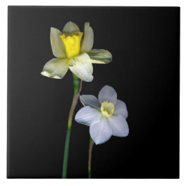 Daffodils Large (6" X 6") Ceramic Photo Tile