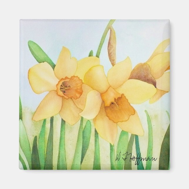Daffodils Magnet (Front)