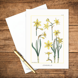 Daffodils Maurice Verneuil Botanical Blank Card