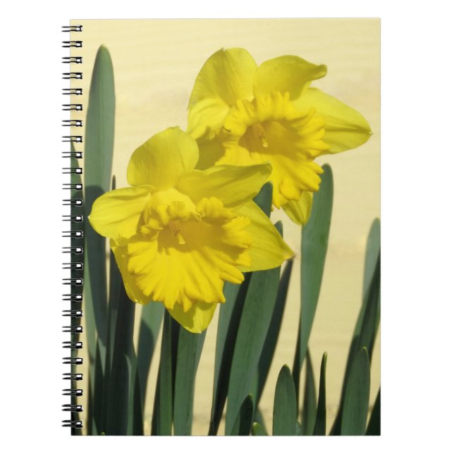 Daffodils - notebook (Front)