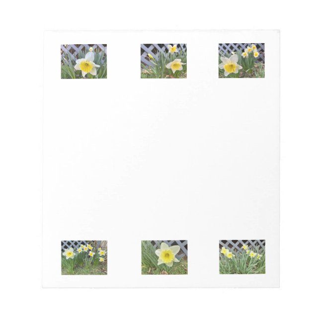 Daffodils Notepad (Front)