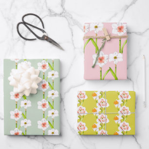 Daffodils on a Wrapping Paper Set (B)