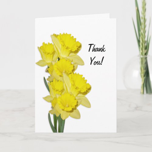 Daffodils on white blank thank you note card