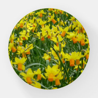 Daffodils Paperweight