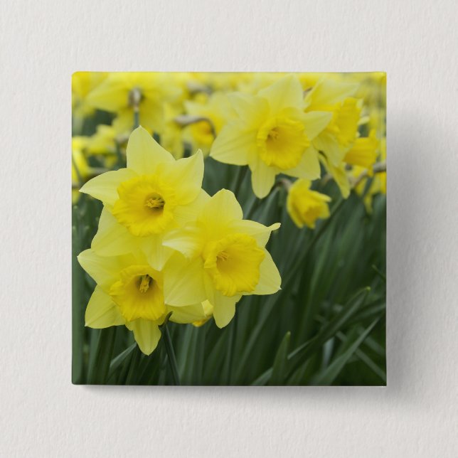 Daffodils RF) Button (Front)