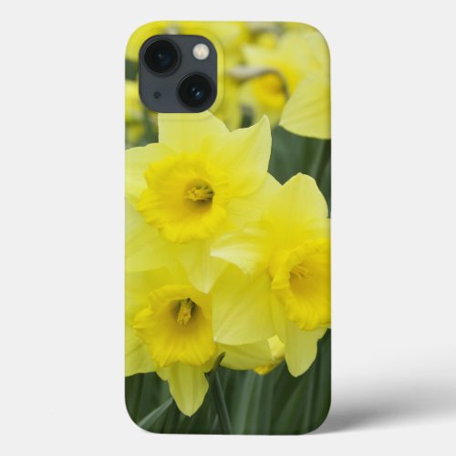 Daffodils RF iPhone 13 Case
