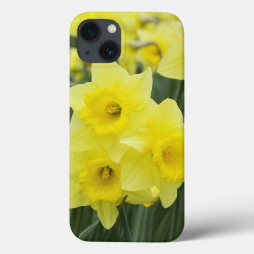 Daffodils RF iPhone 13 Case
