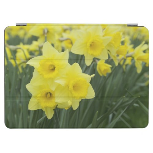 Daffodils RF iPad Air Cover