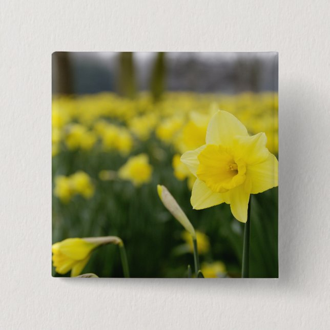 Daffodils (RF) Pinback Button (Front)