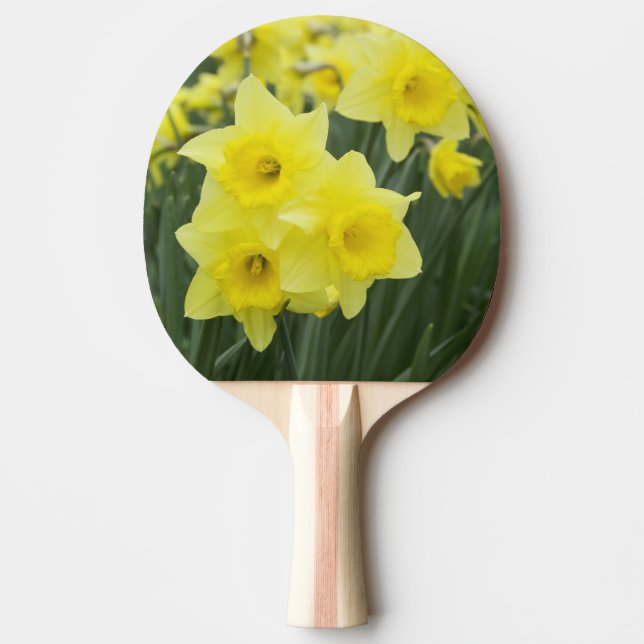 Daffodils RF) Ping-Pong Paddle (Front)