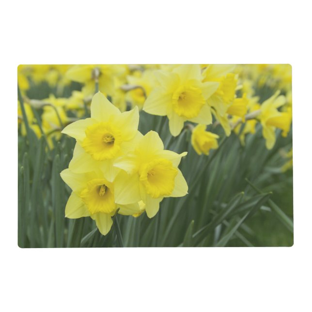 Daffodils RF) Placemat (Front)