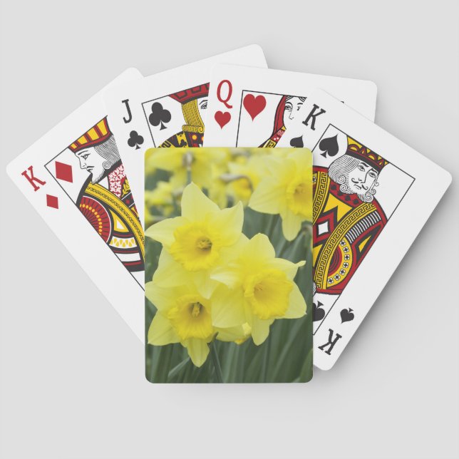 Daffodils RF) Poker Cards (Back)